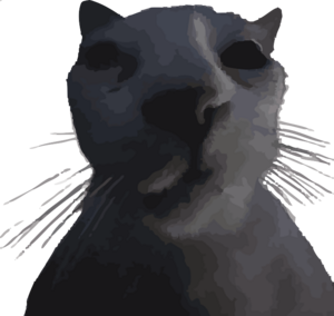 Wiki Background.svg