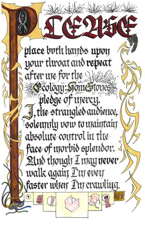 Pledge of Mercy.jpg